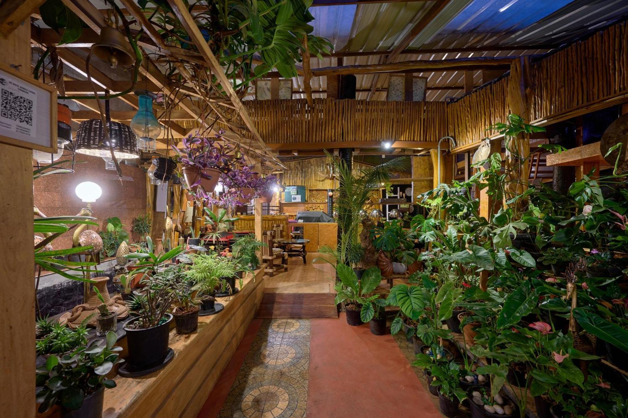קונור De Rock Jungle Living Resort מראה חיצוני תמונה
